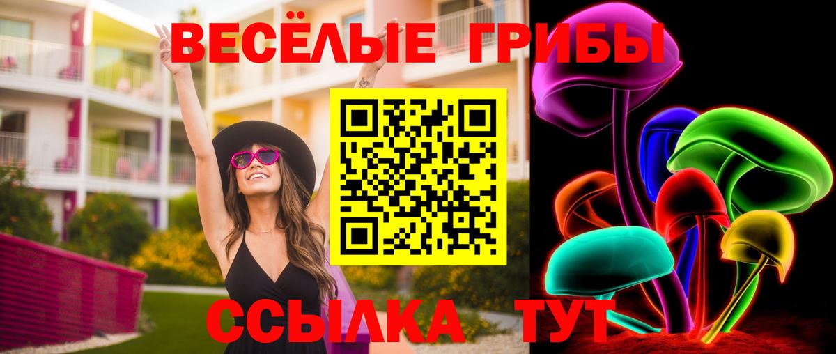 Псилоцибиновые грибы Magic Shrooms Кохма